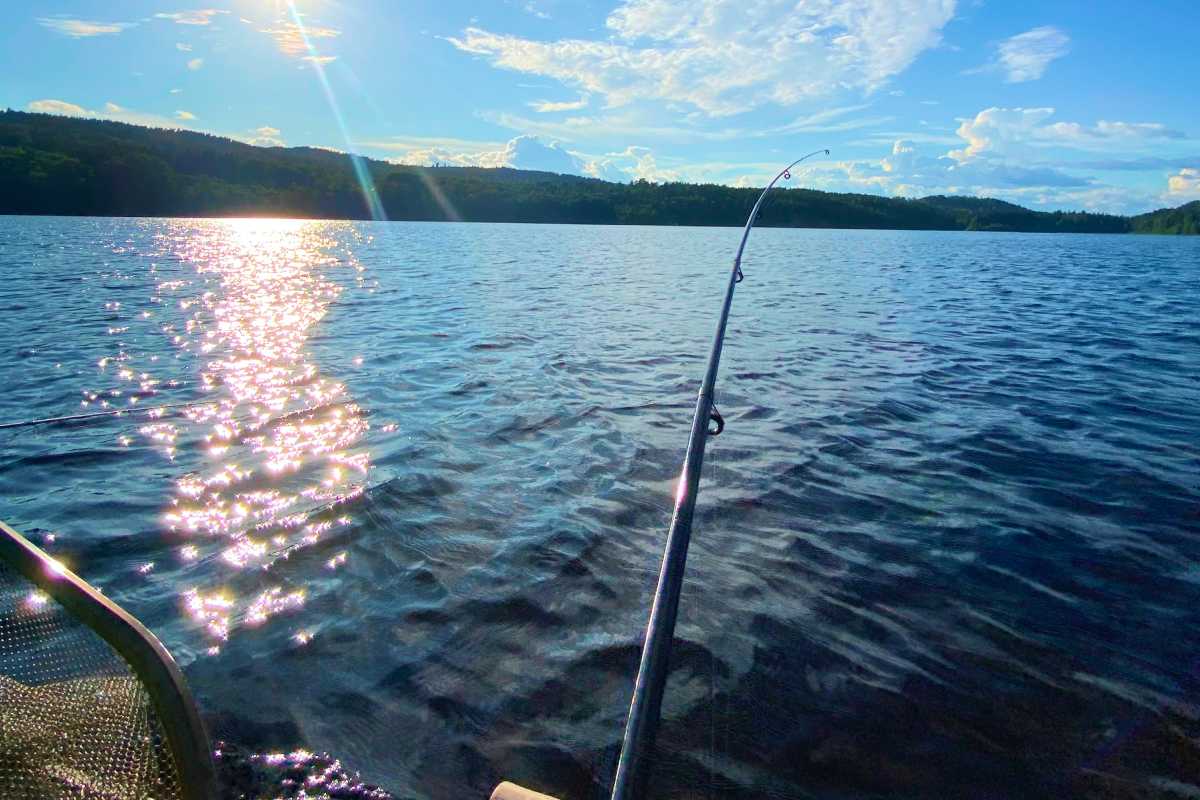Aktivitäten am See Vadjungen