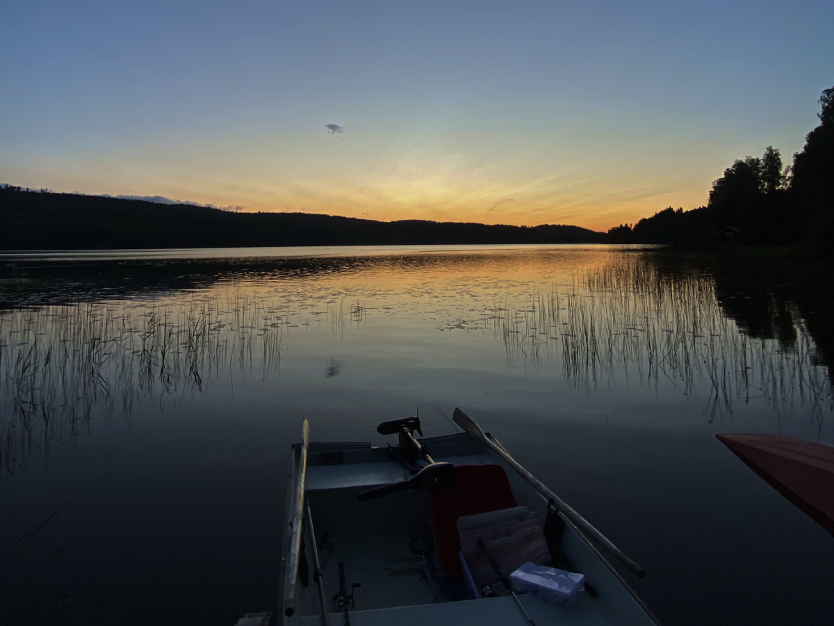 Blick auf den See