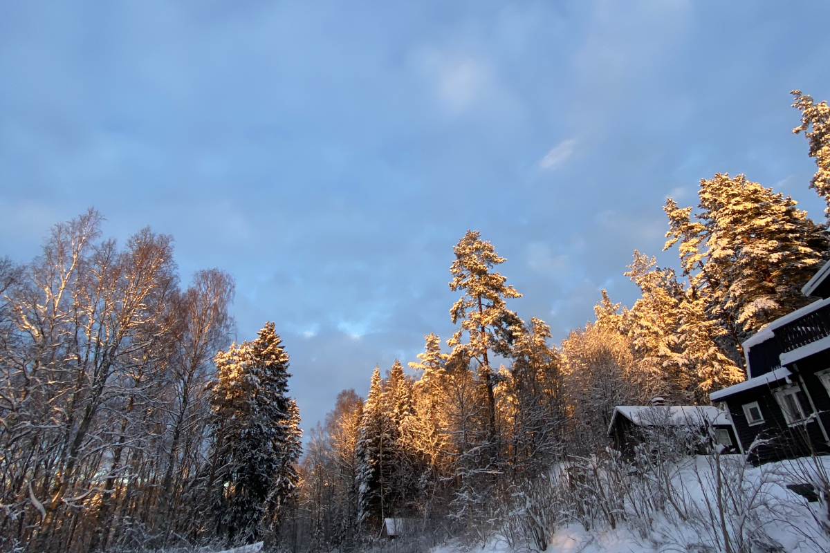 Winterlandschaft in Värmland, Schweden mit schneebedecktem Wald und gefrorenem See
